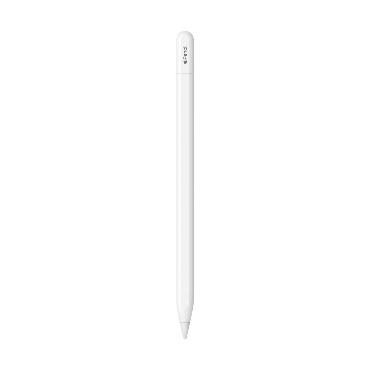 Apple Pencil (USB-C) Original para iPad MUWA3AM/A
