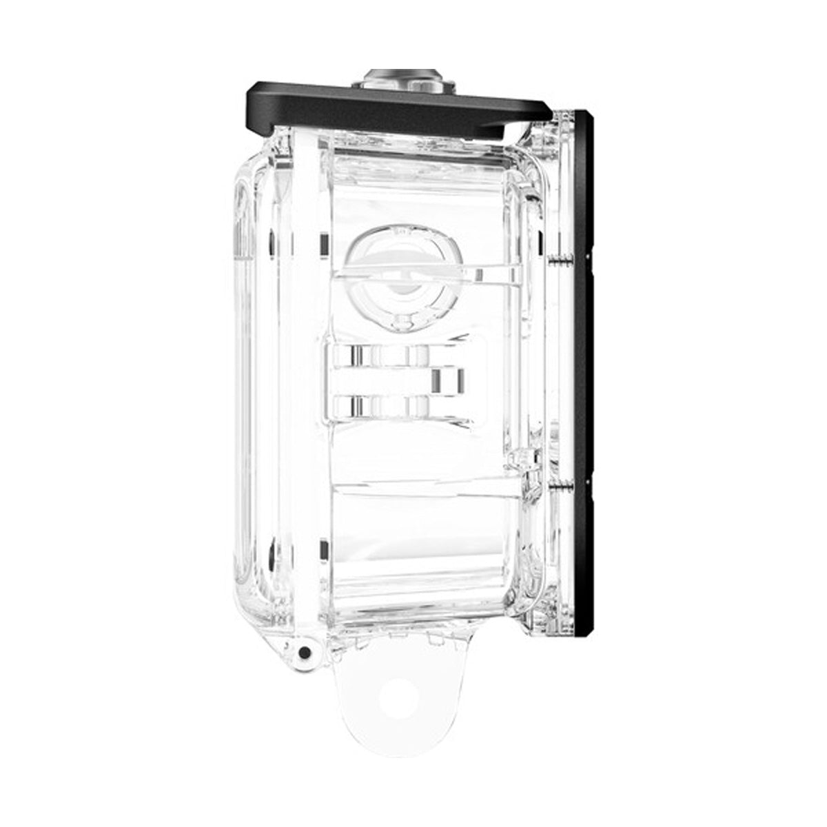 #TRANSPARENTE