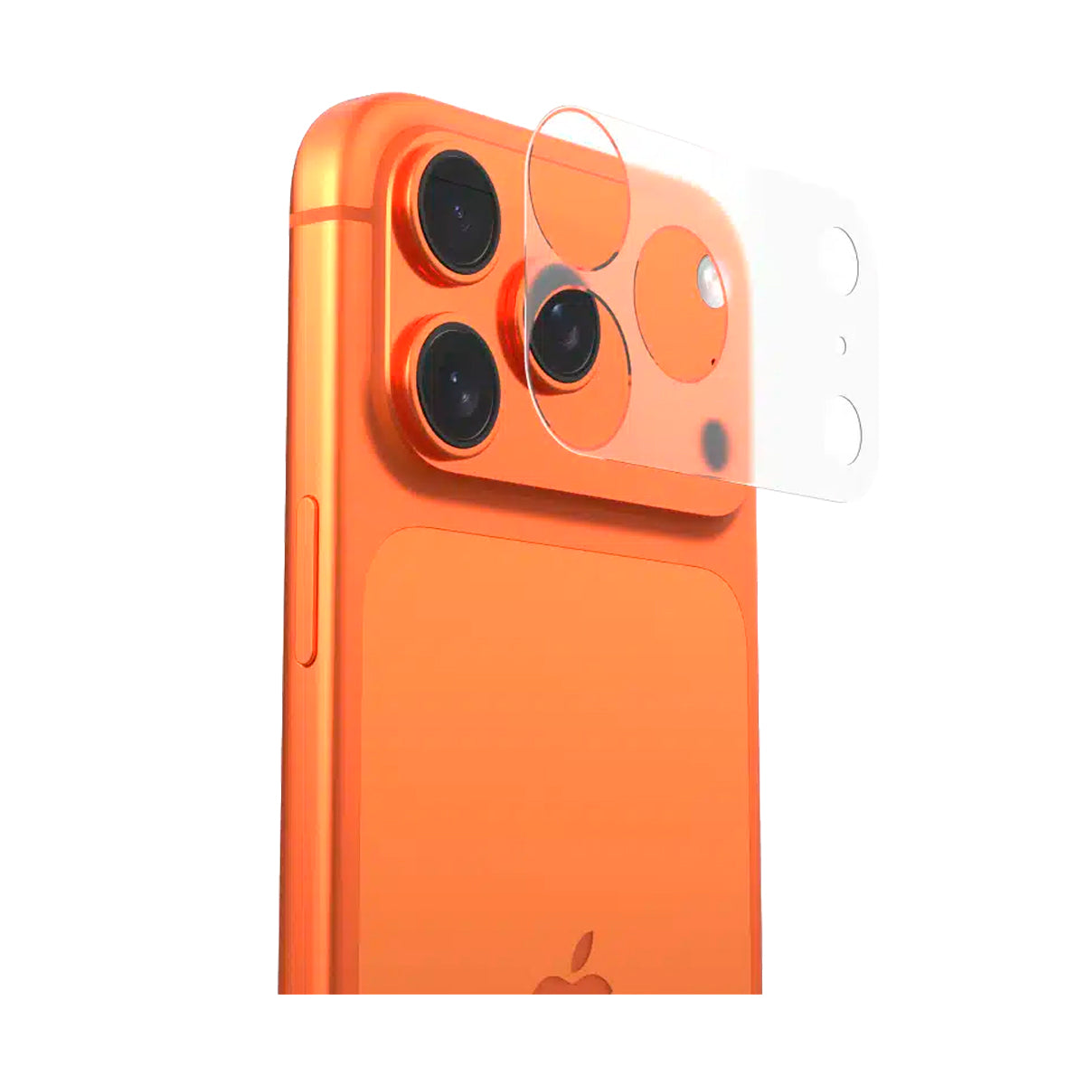 #TRANSPARENTE