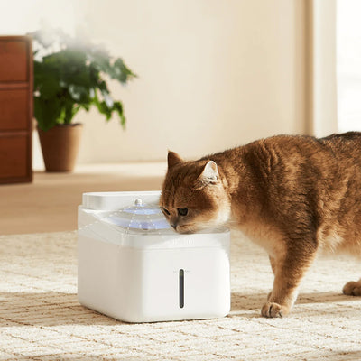 XIAOMI SMART PET FOUNTAIN 2 bebedero de agua para mascotas